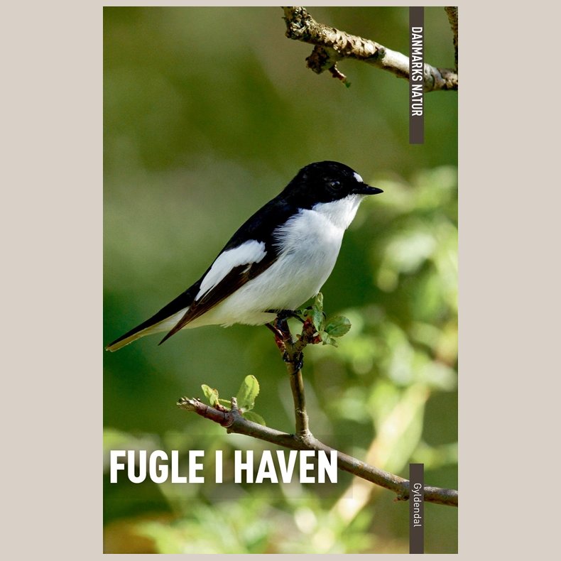 Danmarks Natur - Fugle i haven