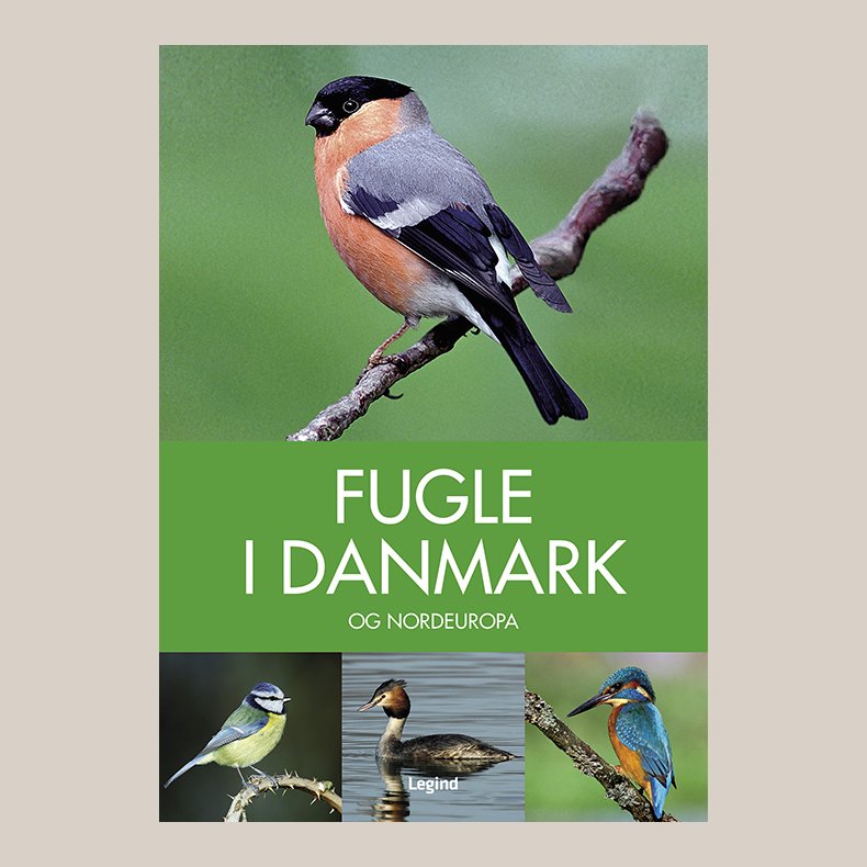 Fugle i Danmark